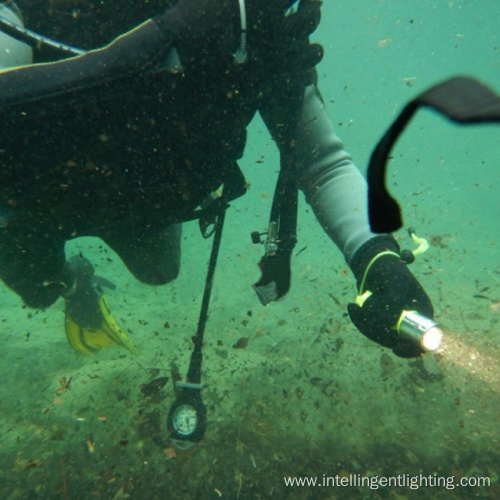 Waterproof Powerful Diving Flashlight Torch